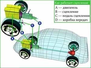 будова і робота зчеплення